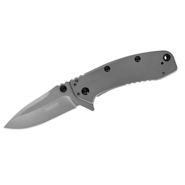Kershaw Cryo II Assisted Opening Folding Knife (1556TI)