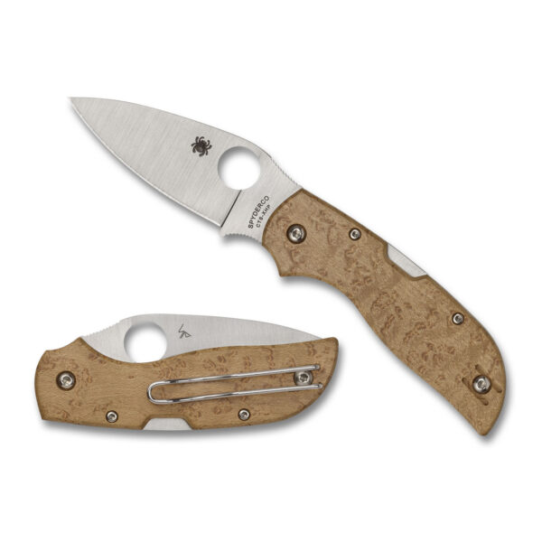 Spyderco Chaparral Folding Knife (C152WDP) - Image 3