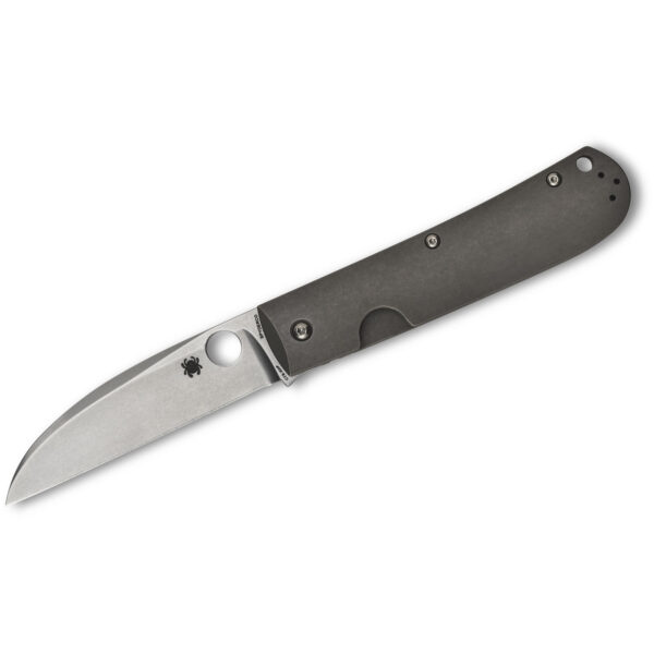 Spyderco Marcin Slysz SwayBack Folding Knife (C249TIP)