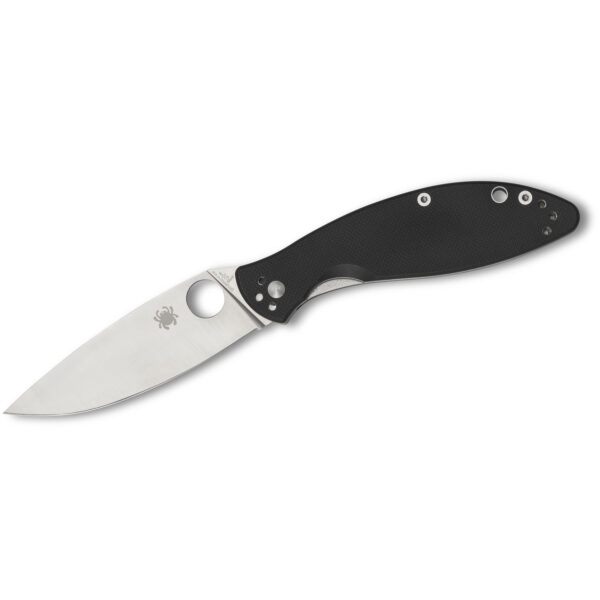 Spyderco Astute Folding Knife (C252GP)