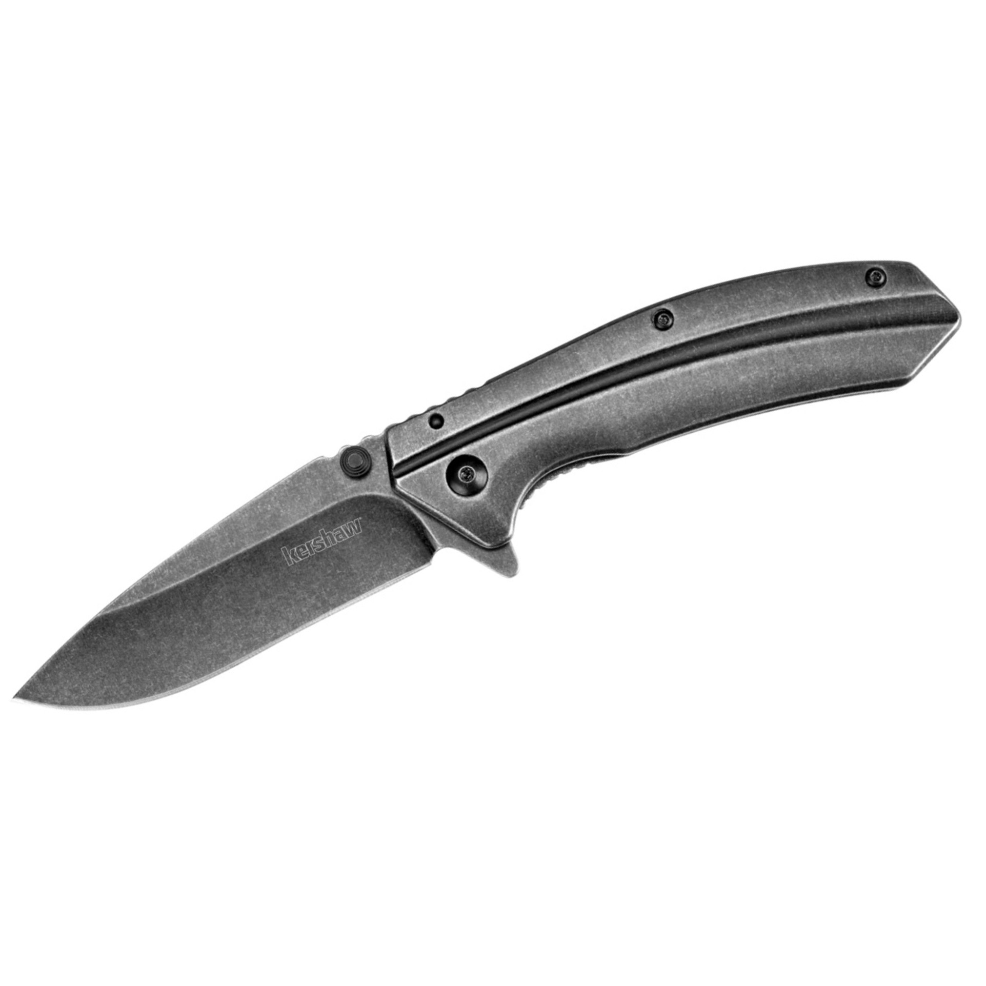 Kershaw Filter Assisted Opening Folding Knife (1306BW)