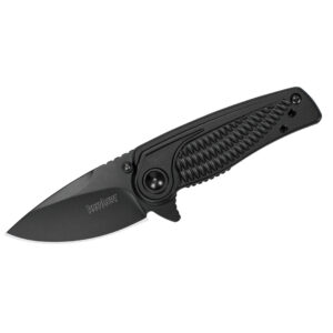 Kershaw Spoke Assisted Opening Folding Knife (1313BLK)