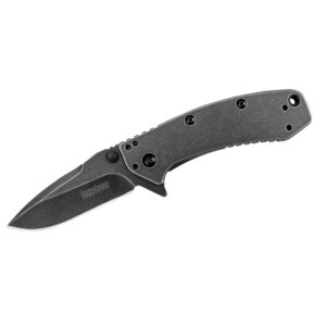 Kershaw Cryo Assisted Opening Folding Knife (1555BW)
