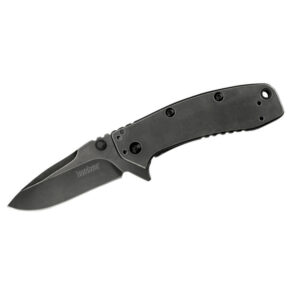 Kershaw Cryo II Assisted Opening Folding Knife (1556BW)