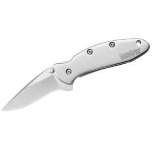 Kershaw Chive Assisted Opening Folding Knife (1600)