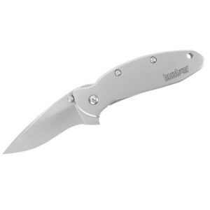 Kershaw Scallion Assisted Opening Folding Knife (1620FL)