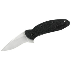 Kershaw Scallion Assisted Opening Folding Knife (1620)