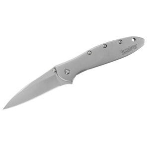 Kershaw Leek Assisted Opening Folding Knife (1660)