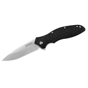 Kershaw Oso Sweet Assisted Opening Folding Knife (1830)