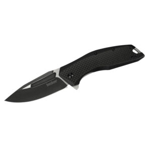 Kershaw Flourish Assisted Opening Folding Knife (3935)