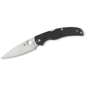 Spyderco Native Chief Folding Knife (C244GP)