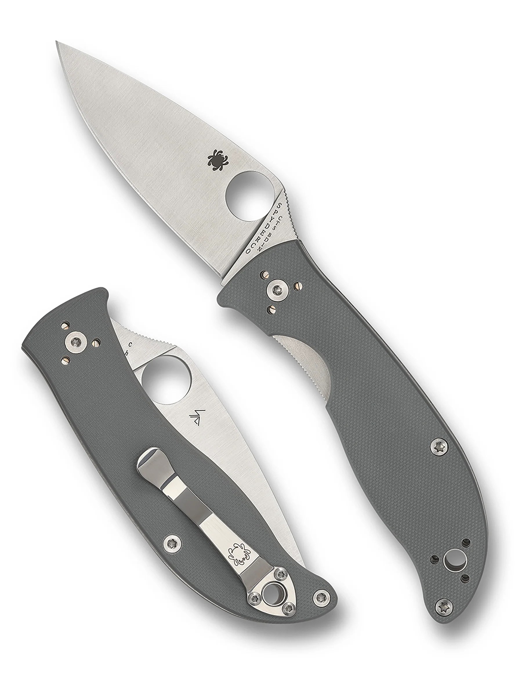 Sypderco Polestar Folding Knife (C220GPGY)